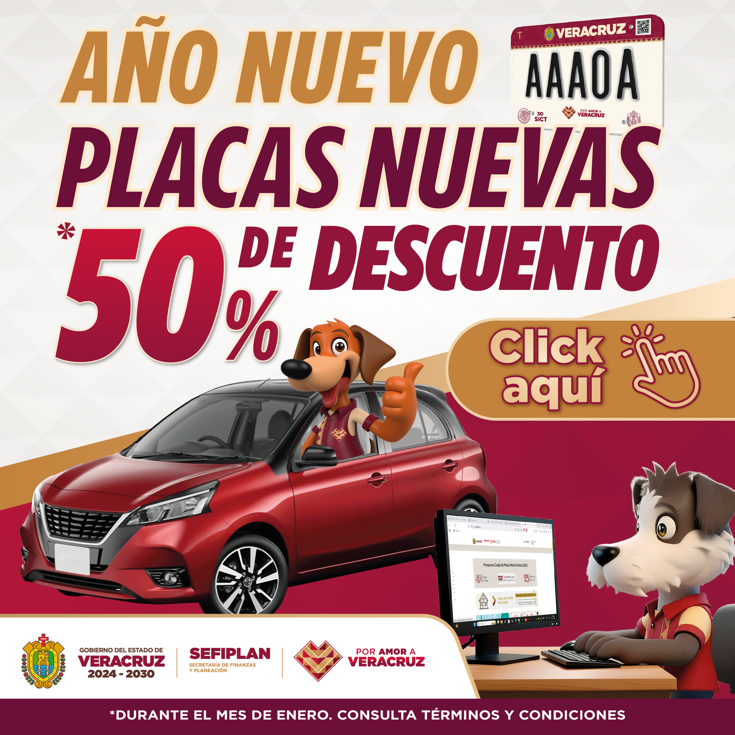 Año Nuevo Placas nuevas ovh.gob.mx